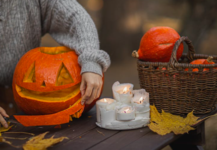 Halloween e gli animali domestici